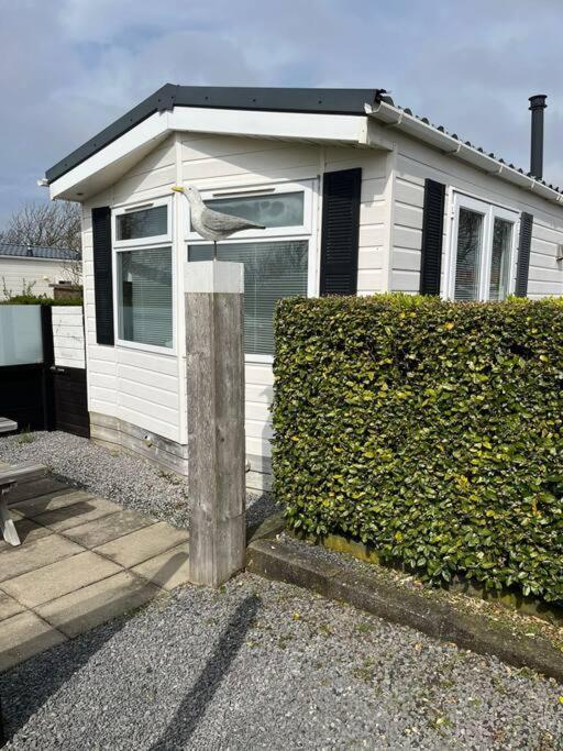 Chalet + Tiny House Nabij Strand Petten Zewnętrze zdjęcie