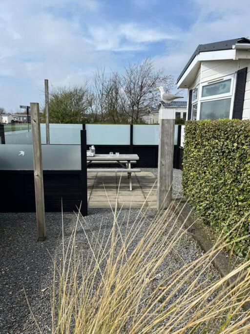 Chalet + Tiny House Nabij Strand Petten Zewnętrze zdjęcie