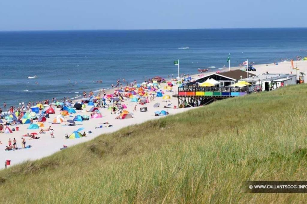 Chalet + Tiny House Nabij Strand Petten Zewnętrze zdjęcie